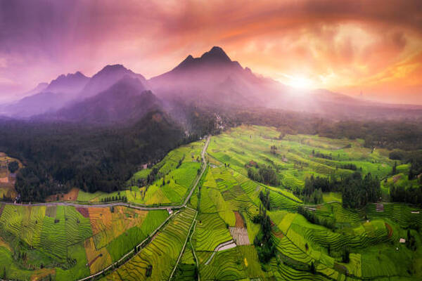 The natural beauty of Indonesia where the mountain range and extensive rice fields with forests